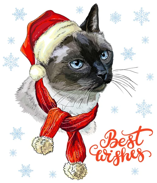 Weihnachtskarte Mit Lustigem Thailändischen Katzenporträt Mit Weihnachtsmütze Schal Schneeflocken Und — Stockvektor