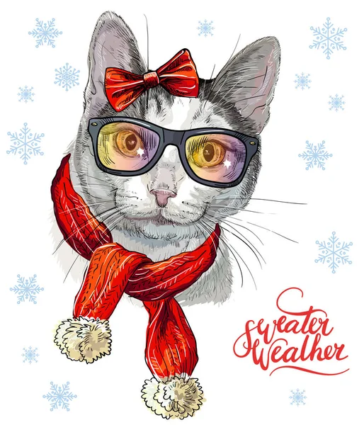 Kartka Świąteczna Zabawnym Kotem Kokardą Okularami Szalikiem Płatkami Śniegu Literowym — Wektor stockowy