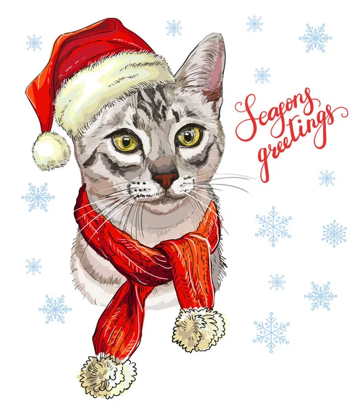 Weihnachtskarte Mit Lustigem Niedlichen Grauen Katzenkopf Weihnachtsmütze Schal Winter Hintergrund — Stockvektor