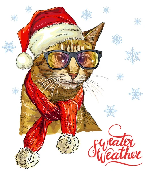 Weihnachtskarte Mit Lustiger Süßer Katze Weihnachtsmütze Brille Winter Hintergrund Mit — Stockvektor
