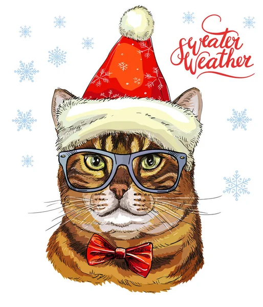 Christmas Card Funny Cute Important Cat Christmas Hat Glasses Winter — Stock Vector