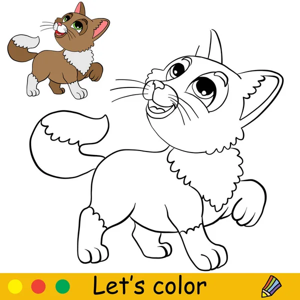 Şirin Pofuduk Kedi Karakteri Çocuklar Için Renk Şablonlu Boyama Kitabı — Stok Vektör