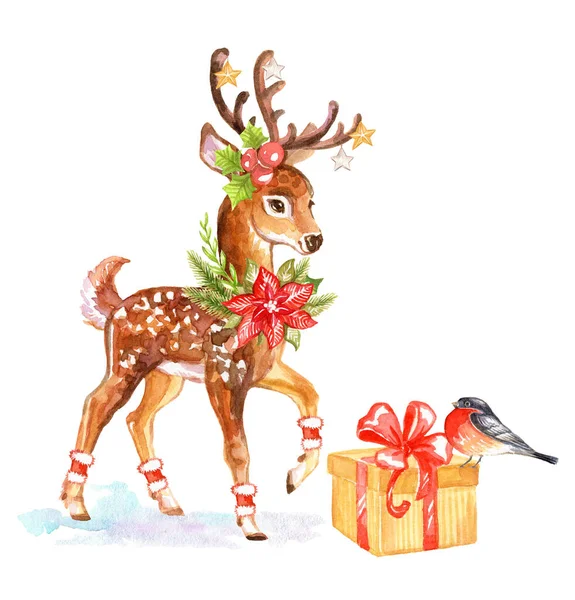 Christmas Deer Bullfinch Gift Watercolor Hand Drawn Illustration Isolated White — Stock Photo, Image