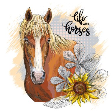 Beautiful head of horse, flowers and lettering live with horses. Hand drawn style. Vector illustration isolated on white background. T-shirt composition, print, design, sticker, sublimation, and decor clipart