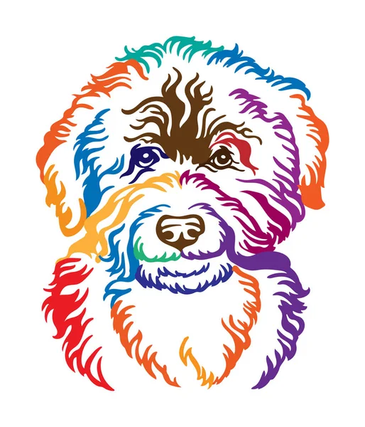Barbet Dog Absztrakt Színes Kontúr Portré Kutyafej Közelkép Vektor Illusztráció — Stock Vector