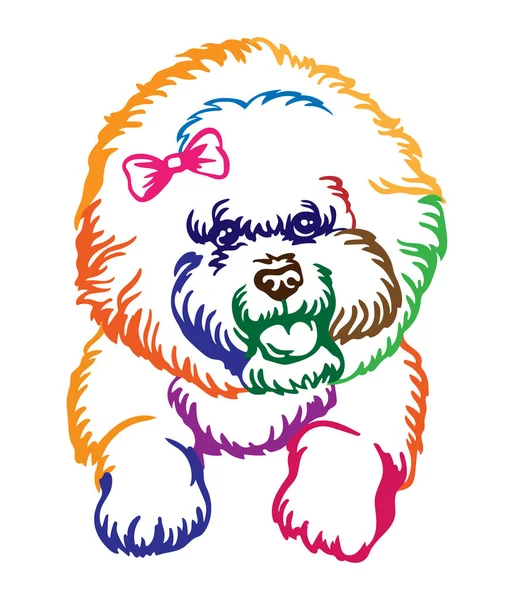 Bichon Frise Dog Abstraktes Mehrfarbiges Konturenporträt Dog Head Close Vektor — Stockvektor
