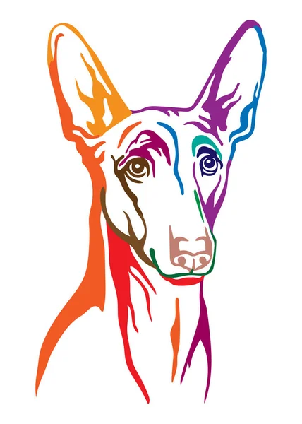 Pharaon Hund Abstrakt Flerfärgad Kontur Porträtt Hundhuvud Närbild Vektor Illustration — Stock vektor