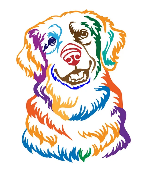ゴールデンレトリバー犬抽象多色の輪郭の肖像画 犬の頭を白い上に隔離ベクトルイラストを閉じます デザイン プリント ポスター ステッカー Tシャツ クリカット タトゥー 刺繍のための — ストックベクタ