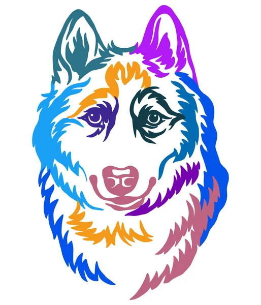 Syberisk Husky Hund Abstrakt Flerfärgad Kontur Porträtt Hundhuvud Närbild Vektor — Stock vektor