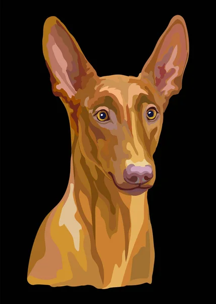 Realistische Nahaufnahme Kopf Von Pharaon Dog Vektor Bunte Isolierte Illustration — Stockvektor