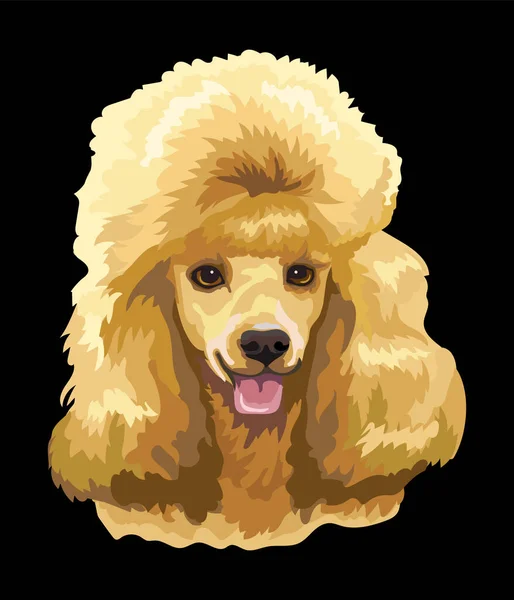 Realista Cerca Cabeza Del Perro Poodle Ilustración Aislada Colores Vectoriales — Archivo Imágenes Vectoriales