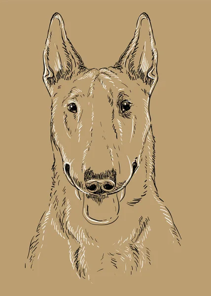Bull Terrier Elini Kapat Tek Renkli Vektör Çizimi Kahverengi Arka — Stok Vektör
