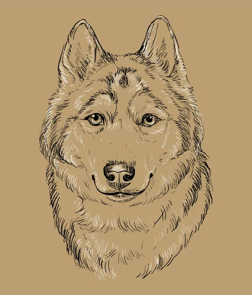 Primer Plano Siberian Husky Dibujo Mano Vector Monocromo Ilustración Aislada — Archivo Imágenes Vectoriales