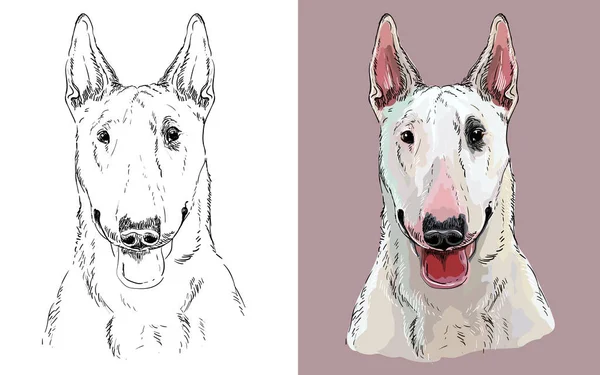 ブルテリア犬の現実的な頭 犬のベクトル黒と白とカラフルな孤立したイラスト ぬり絵 デザイン ポスター ポストカード ステッカー タトゥー Tシャツのための — ストックベクタ