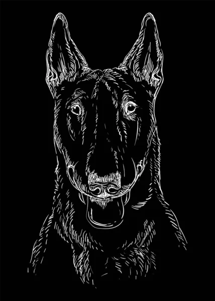 Χειροποίητο Κοντό Bull Terrier Head Λευκό Χρώμα Μαύρο Φόντο Χαρακτική — Διανυσματικό Αρχείο