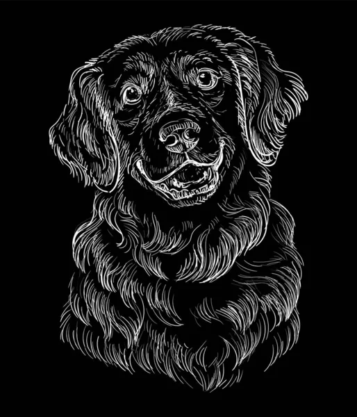 手は黒の背景に白い色でゴールデンレトリバーヘッドを閉じ描かれました 犬でベクトルイラストを彫る デザイン プリント ポスター ポストカード ステッカー Tシャツのための — ストックベクタ