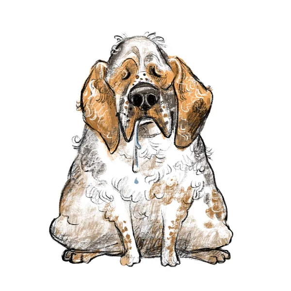 Roztomilá Kreslená Postava Psa Clumber Španěl Pes Plemeno Rastrové Ilustrace — Stock fotografie