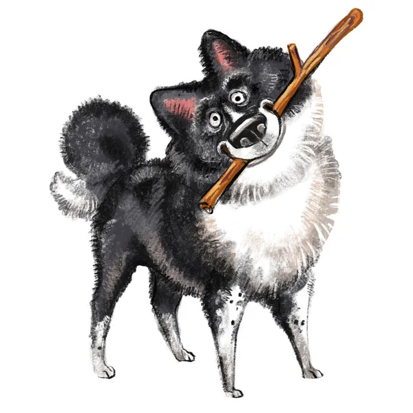 かわいい面白い漫画の犬のキャラクター 白い背景に分離されたスティックラスターイラスト付きのライカ犬 印刷物 デザイン ステッカー Tシャツ 服のデザイン ポストカード用 — ストック写真