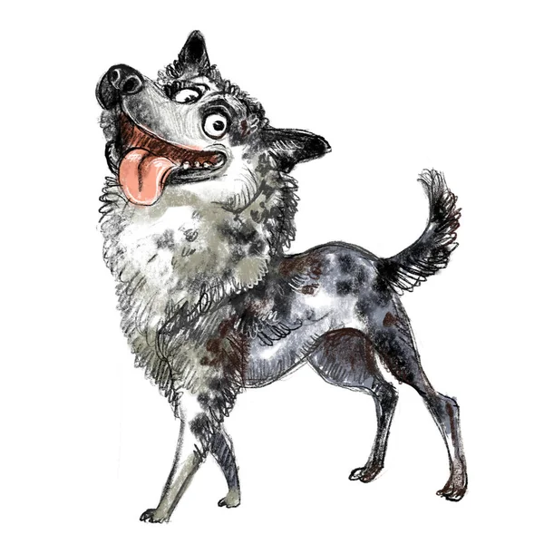 かわいい面白い漫画の犬のキャラクター マディ犬は白い背景に単離されたラスターイラストを飼育します 印刷物 デザイン ステッカー Tシャツ 服のデザイン ポストカード用 — ストック写真
