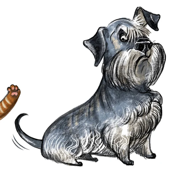 Cute Funny Cartoon Dog Character Cesky Terrier Dog Breed Raster — Stock Photo, Image
