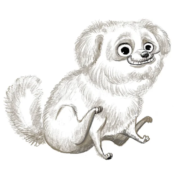 Cute Funny Cartoon Dog Character Bolognese Lap Dog Breed Raster — Stock Photo, Image