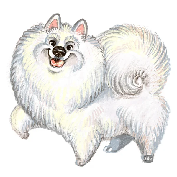 かわいい面白い漫画の犬のキャラクター サモイド犬種ラスターイラストは 白い背景に違反しています 印刷物 デザイン ステッカー Tシャツ 服のデザイン ポストカード用 — ストック写真