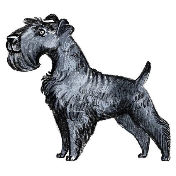 Cute Funny Cartoon Dog Character Kerry Blue Terrier Dog Breed — Stock Photo, Image