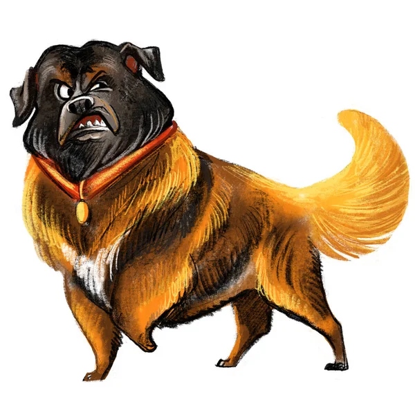 Cute Funny Cartoon Dog Character Estrela Mountain Dog Breed Raster — Stock Photo, Image