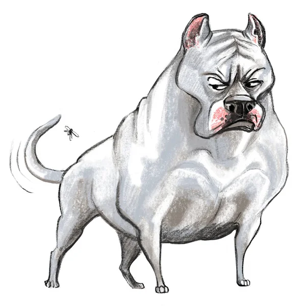 Sevimli Komik Çizgi Film Karakteri Dogo Argentino Köpek Cins Raster — Stok fotoğraf