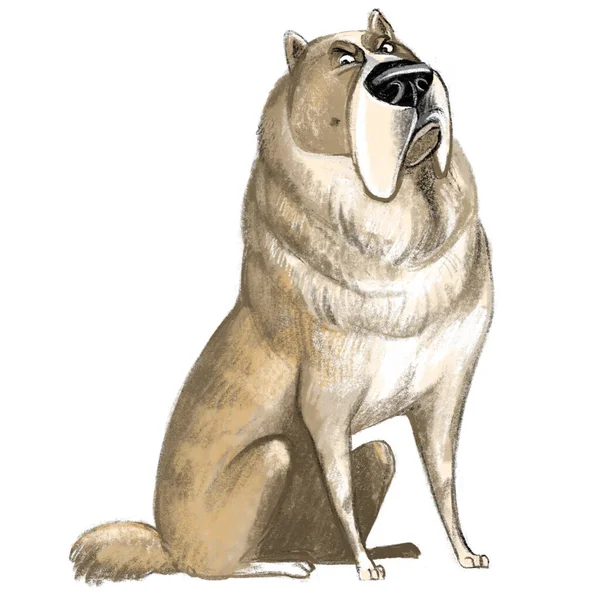 Симпатичный Смешной Персонаж Мультяшной Собаки Центральноазиатская Овчарка Породы Иллюстрация Isolatwd — стоковое фото
