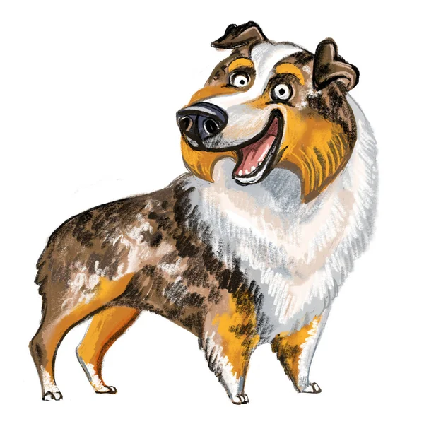 かわいい面白い漫画の犬のキャラクター オーストラリアのシェパード犬種ラスターイラストは白い背景にあります 印刷物 ステッカー Tシャツおよび衣服のために設計 ポストカード — ストック写真