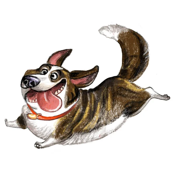 Cute Funny Cartoon Dog Character Cardigan Welsh Corgi Dog Breed — Stock Photo, Image