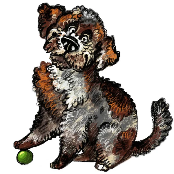 Cute Funny Cartoon Dog Character Lagotto Romagnolo Dog Breed Raster — Stock Photo, Image