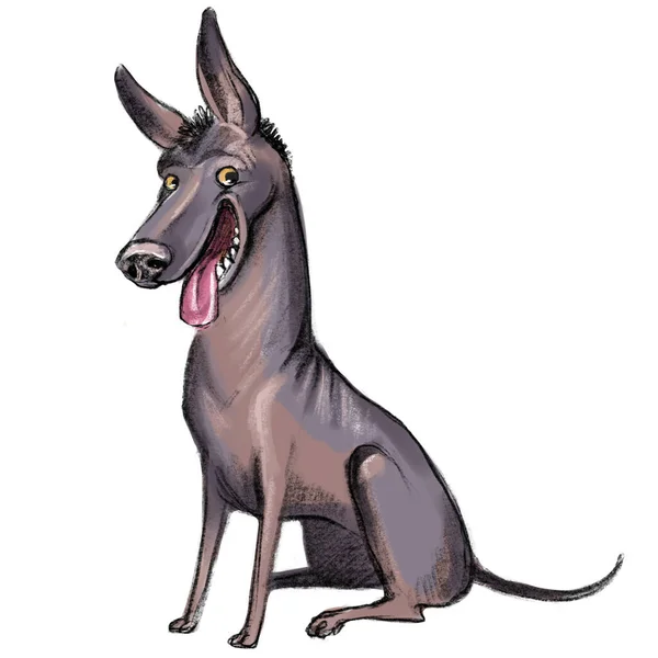 Lindo Personaje Divertido Perro Dibujos Animados Xoloitzcuintle Perro Raza Raster —  Fotos de Stock