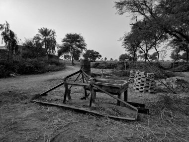 Küçük balık elimizde.