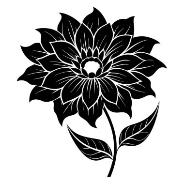 Siyah ve Beyaz olarak Karmaşık Çiçek Resimleri