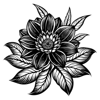 Siyah ve Beyaz olarak Karmaşık Çiçek Resimleri