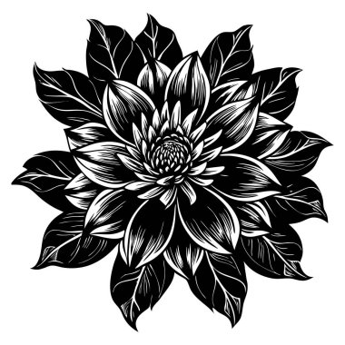 Siyah ve Beyaz olarak Karmaşık Çiçek Resimleri