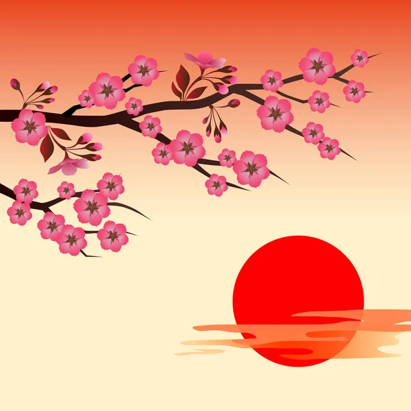 Floração Ramo Sakura Sobre Sol Vermelho —  Vetores de Stock