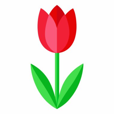 Canlı kırmızı lale, düz bir tasarım çizimi..