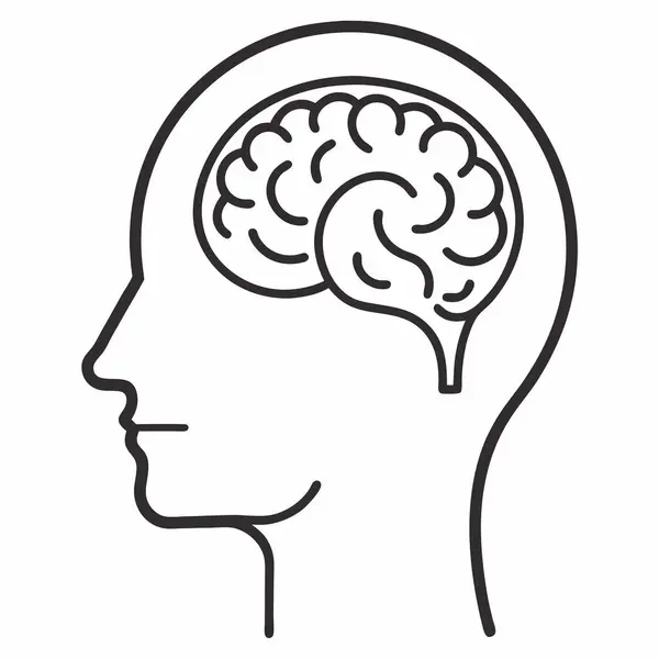 Bir insan kafası ve beyninin basit çizimi.
