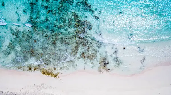 Los Roques, Venezuela 'da güzel beyaz bir kumsal manzarası