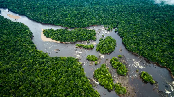 Venezuela 'daki Caura Nehri' nin havadan çekilmiş fotoğrafı.