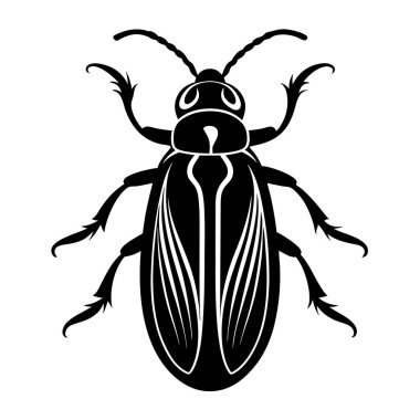 Click Beetle silhouette vector art clipart