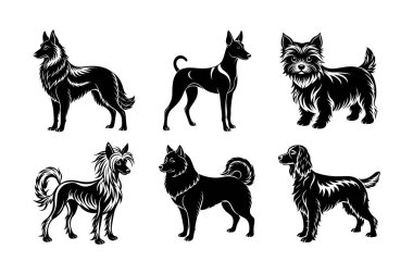Köpek cinsi vektör silueti ayarlandı