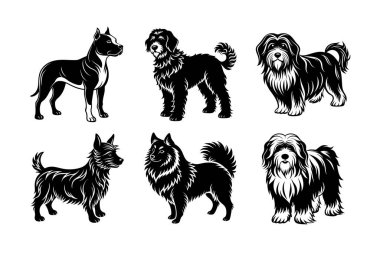 Köpek cinsi vektör silueti ayarlandı