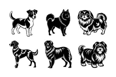 Köpek cinsi vektör silueti ayarlandı