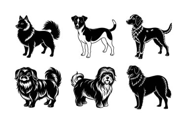 Köpek cinsi vektör silueti ayarlandı