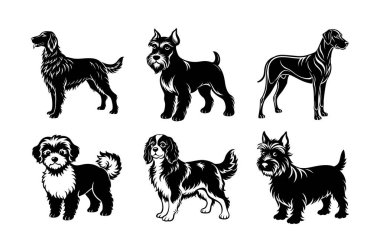 Köpek cinsi vektör silueti ayarlandı