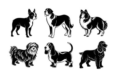Köpek cinsi vektör silueti ayarlandı